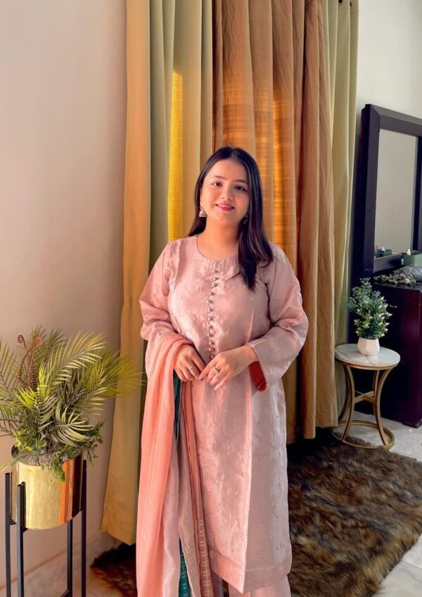 WhatsApp-Image-2025-03-05-at-2.03.03-PM-1-1.jpeg Raw Silk Muse Collection Semi Formal 3pc Set