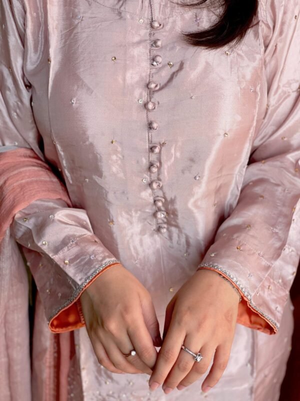 WhatsApp-Image-2025-03-05-at-2.03.03-PM-3.jpeg Raw Silk Muse Collection Semi Formal 3pc Set