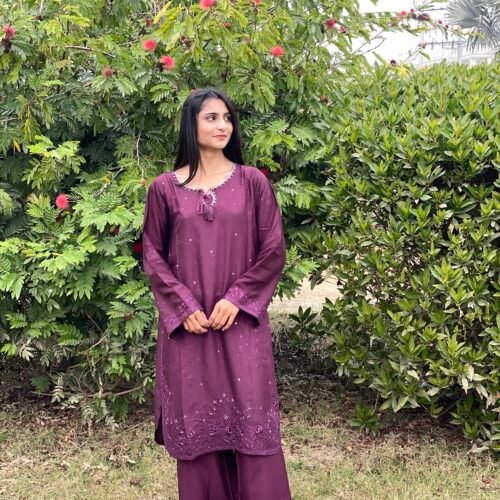 IMG_2593 Raw Silk Embroidered Co-Ordinate Set.