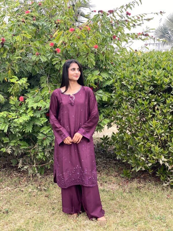 Raw Silk Embroidered Co-Ordinate Set.