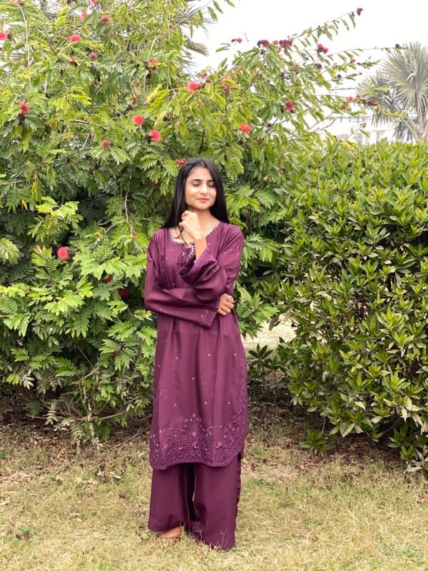 Raw Silk Embroidered Co-Ordinate Set.