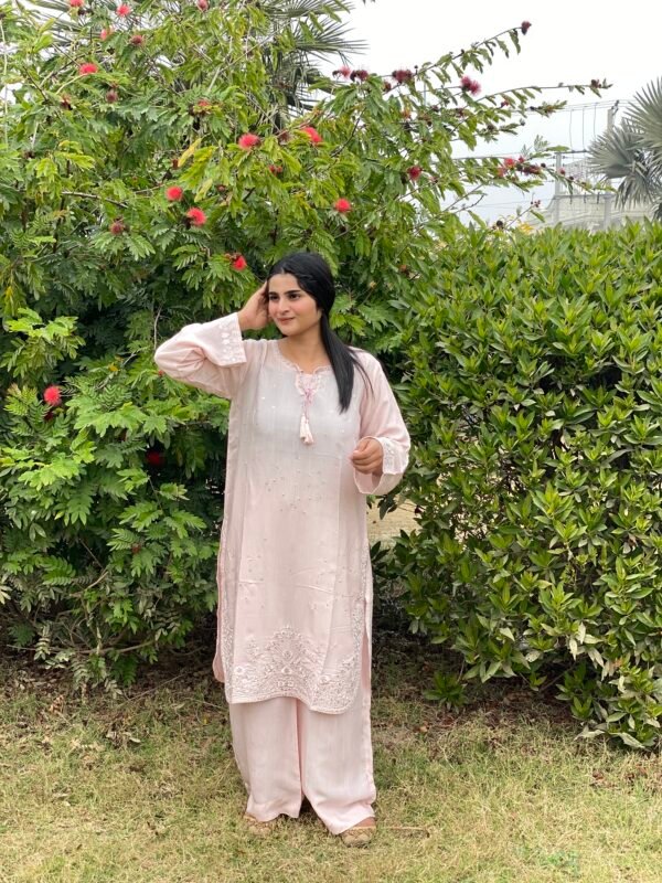 Raw Silk Embroidered Co-Ordinate Set.