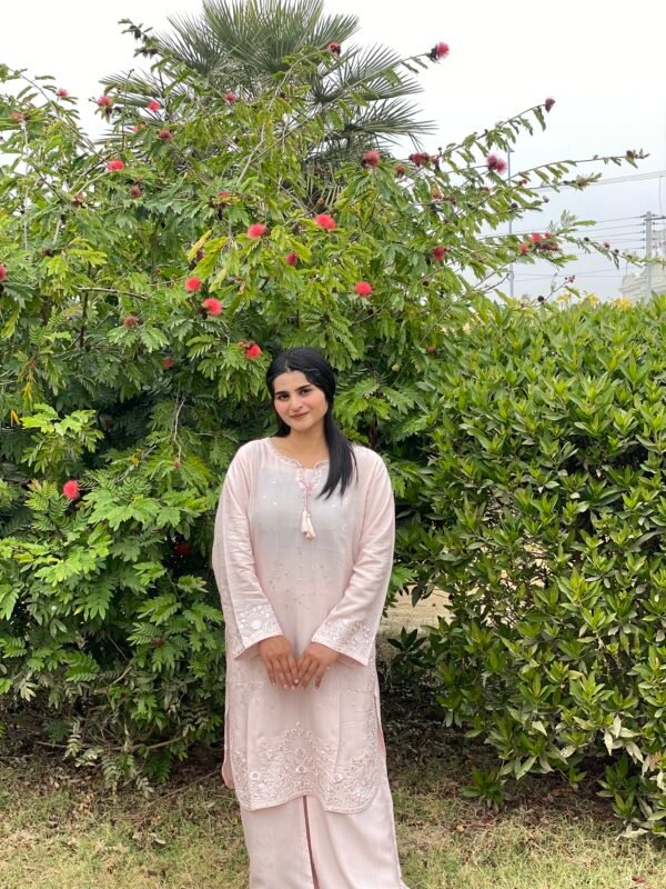 Raw Silk Embroidered Co-Ordinate Set.