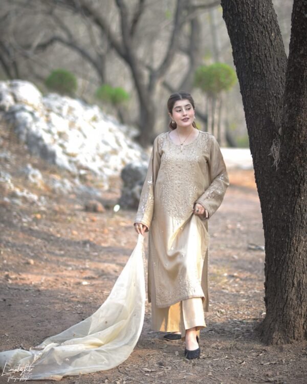 Raw Silk Embroidered 3pc Set.