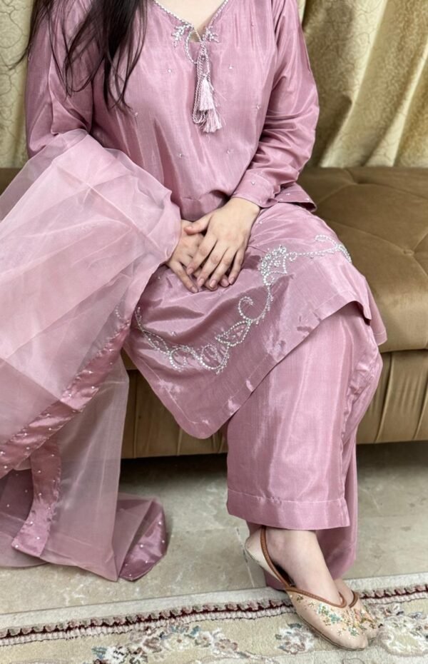 WhatsApp Image 2026-03-04 at 7.15.14 PM (1) Raw Silk Hand Embroidered Co-Ordinate Set.