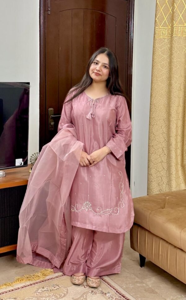 WhatsApp Image 2026-03-04 at 7.15.14 PM (2) Raw Silk Hand Embroidered Co-Ordinate Set.