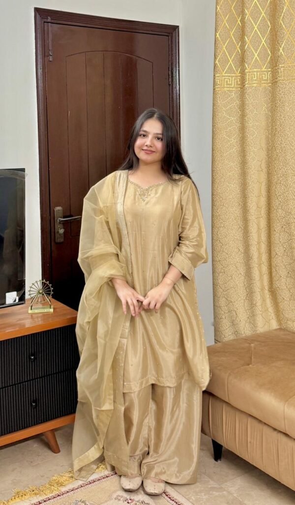 WhatsApp Image 2026-03-04 at 7.15.15 PM (1) Raw Silk Hand Embroidered Co-Ordinate Set.