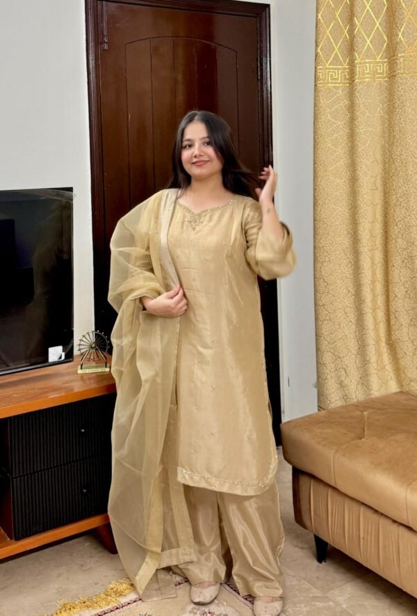 WhatsApp Image 2026-03-04 at 7.15.15 PM (2) Raw Silk Hand Embroidered Co-Ordinate Set.