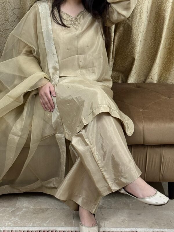 WhatsApp Image 2026-03-04 at 7.15.16 PM Raw Silk Hand Embroidered Co-Ordinate Set.