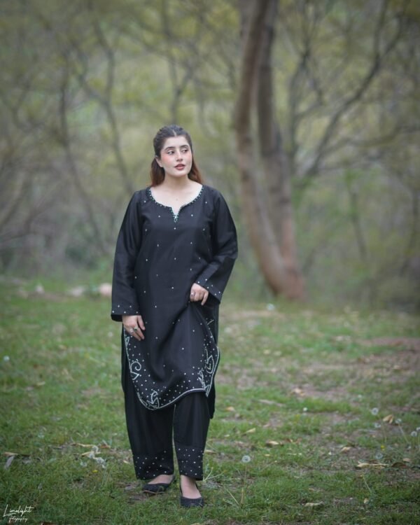 Raw Silk Hand Embroidered Co-Ordinate Set.